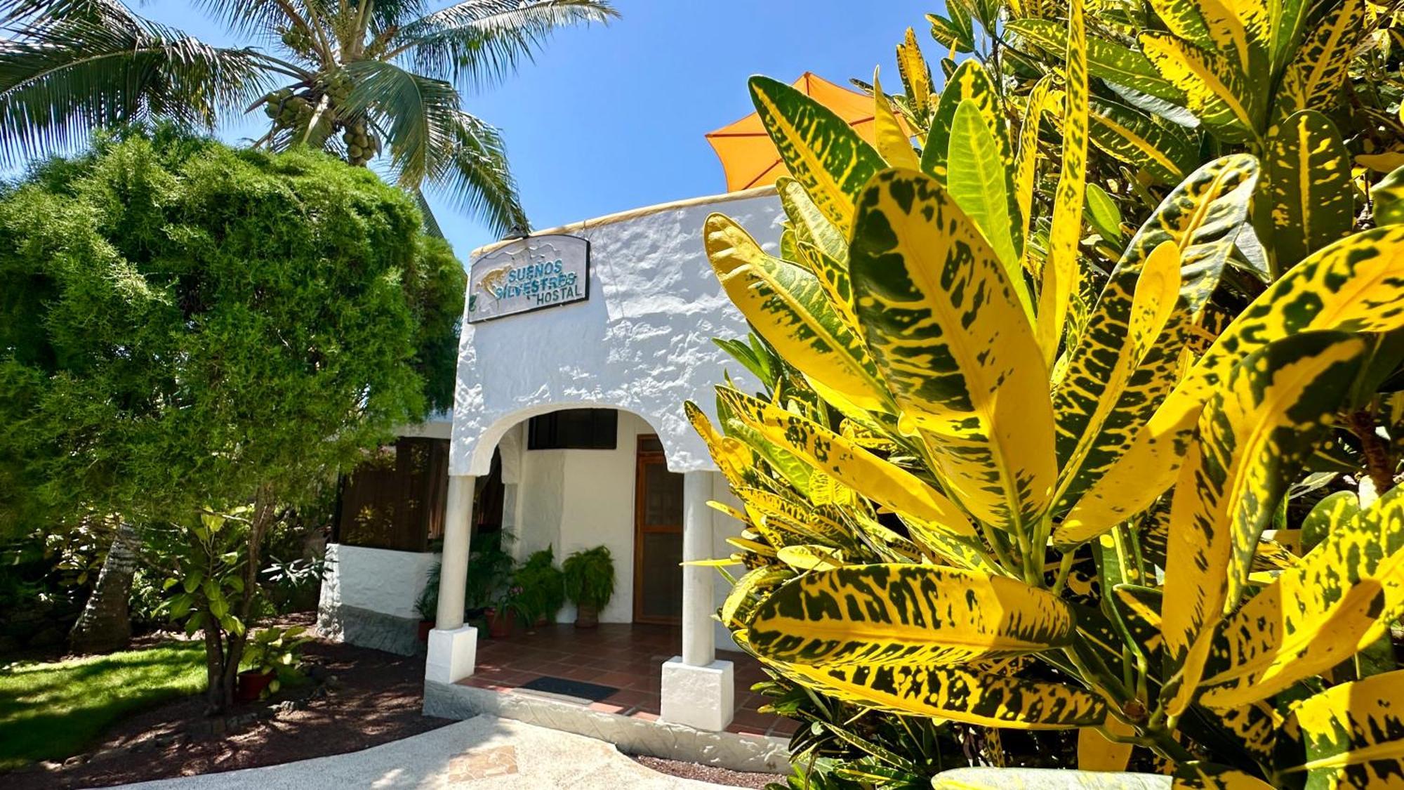 פורטו איורה Hostal Suenos Silvestres מראה חיצוני תמונה