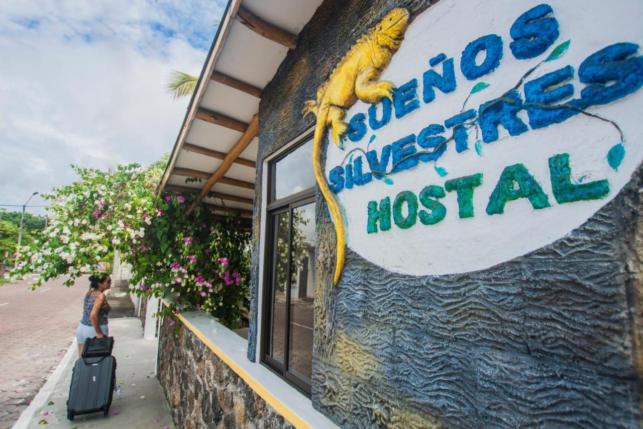 פורטו איורה Hostal Suenos Silvestres מראה חיצוני תמונה