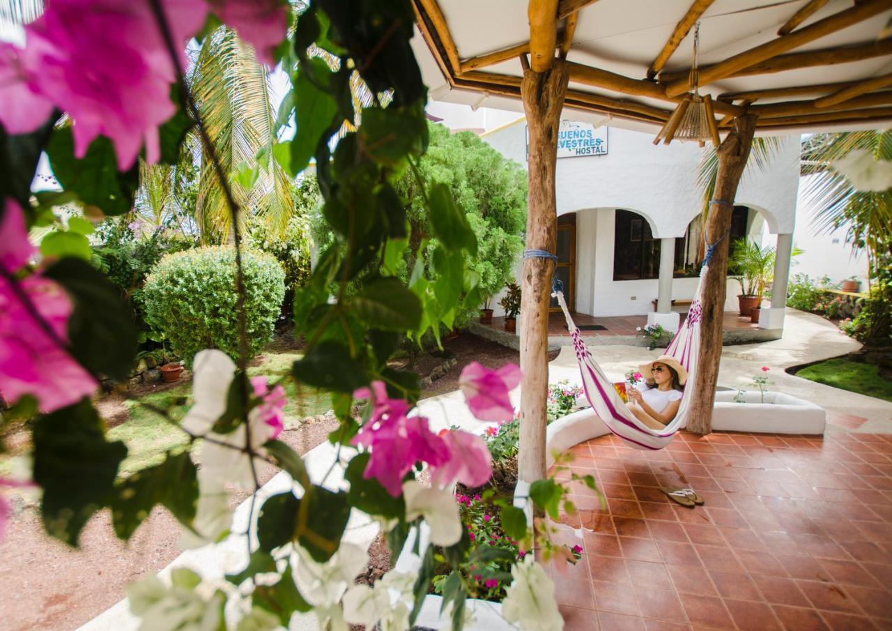 פורטו איורה Hostal Suenos Silvestres מראה חיצוני תמונה